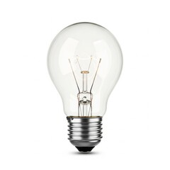 light bulb on white background