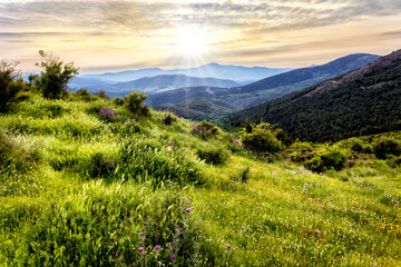 Sierra del Ocejón