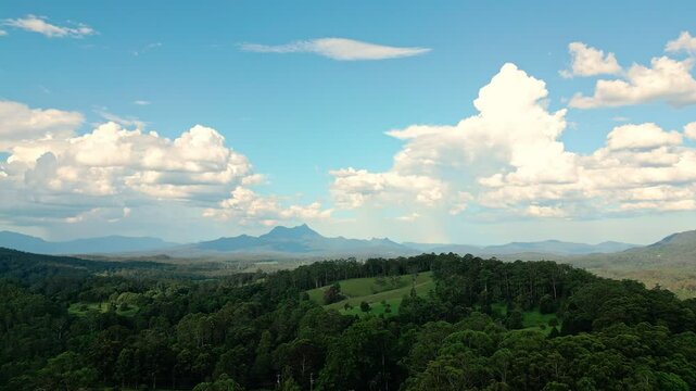 Rising high in the valley with iconic Mt Warning silhouette in the background and lush fields in the foreground.