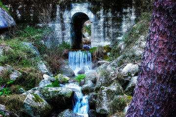 Puente sobre el arroyo