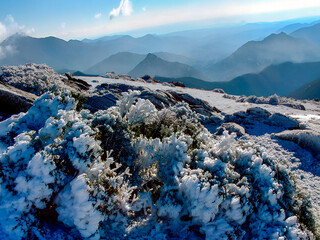 Invierno en la Sierra de Ayllón