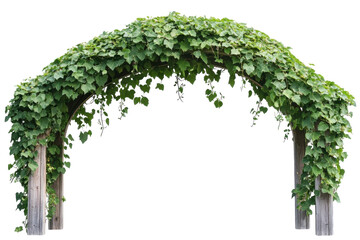 Verdant Arbor Gateway Lush Ivy Arch Dreamy Garden Entrance Outdoor Wedding Decoration Botanical