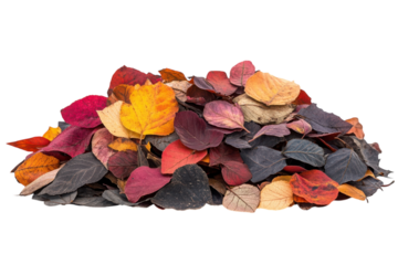Autumn s embrace A vibrant tapestry of fall leaves in captivating colors texture detail and scenic