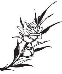 plants flower vintage hand drawing