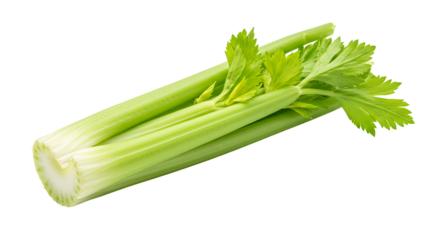 Celery bundle against a black backdrop showing green stalks and leaves showcasing freshness and texture