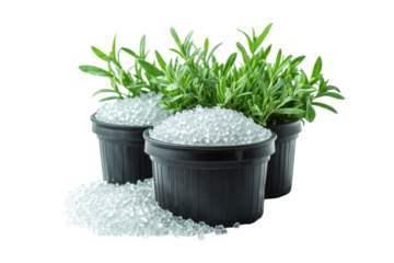 Green plant care in three pots with hydration crystals for gardening healthy growth indoor plants