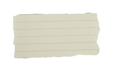 lined blank paper note torn on transparent background. for design and text