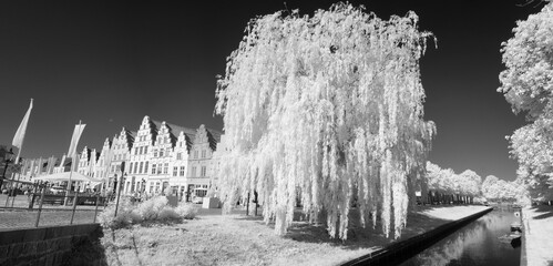 the river in Friedrichsstadt, Infrared