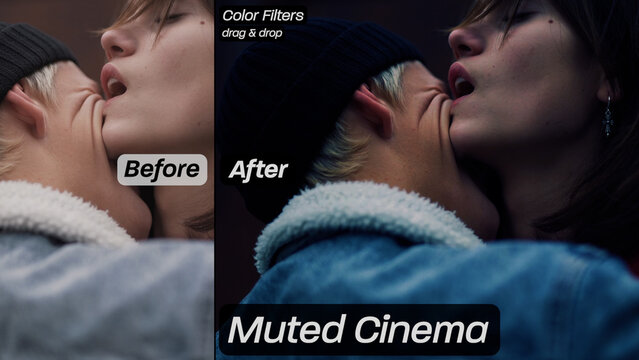 Muted Cinema Color Filters