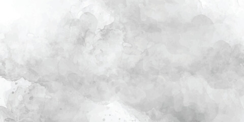 Obraz premium Grey water color banner Paint leaks and Vector watercolor texture for cards abstract white background with gray grunge texture of a concrete wall isolated grainy closeup. soft gray paint wall textur 