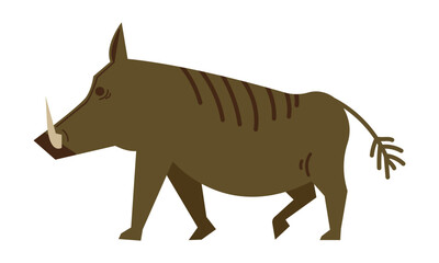 wild warthog animal vector illustration