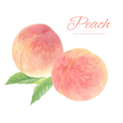 水彩手書きのジューシーな桃のカットイラスト