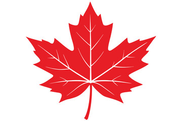 maple-leaves-isolated-vector-on-white-background-.eps