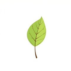 Single green leaf with veins on a bright background for nature and ecology concepts