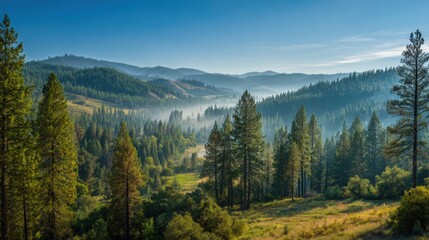 Obraz premium Breathtaking panoramic view of lush green forested mountains during sunrise or sunset.
