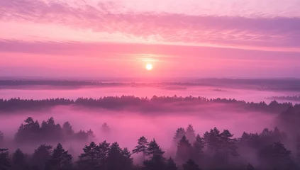 Fototapeten Sunrise over a misty forest.  Pink hues paint the sky and clouds above a layered landscape of fog and trees © Hadiah