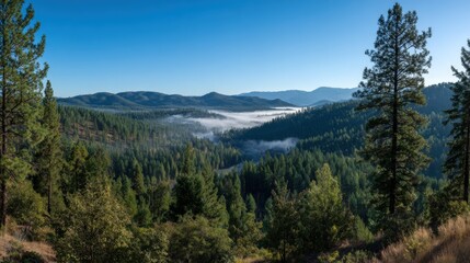 Fototapeta premium Scenic panoramic view of lush green forested mountain landscape with distant hills and clear blue sky.