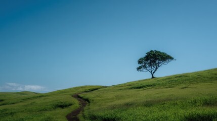 Serene Green Hill Landcape with Single Tree Under Blue Sky and Pathway.