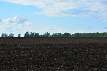 A vast plowed field under a blue sky with a line of trees on the horizon