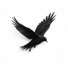 black and white bird logo