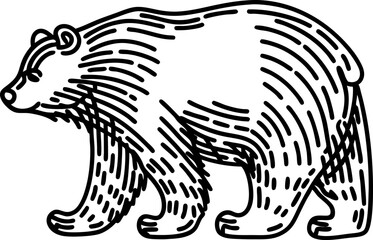 Obraz premium Bear outline illustration, black and white animal drawing wild mammal symbol, simple linear design