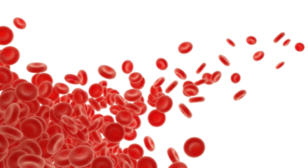 Red blood cells flowing isolated PNG with Transparent Background