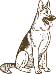Fototapeta premium German shepherd dog illustration sitting loyal canine animal, outline pet drawing, attentive companion breed