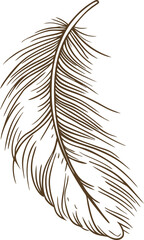Naklejka premium Hand drawn feather illustration, elegant vintage single bird plume sketch, minimalist natural decor