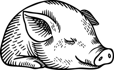 Sleeping pig illustration hand drawn black and white swine, relaxed animal rest, peaceful farm livestock sketch