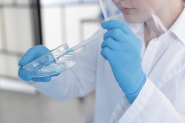 Scientist working with sample in Petri dish in laboratory, closeup