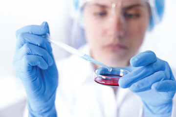 Scientist working with sample in Petri dish in laboratory, selective focus