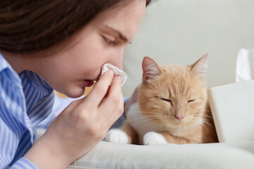Woman suffering from allergy with her cat at home, closeup