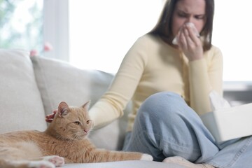 Woman suffering from allergy with her cat on sofa at home, selective focus