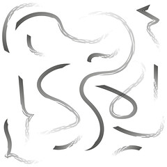 Smoke wave pattern. Flowing vapor lines. Vector steam shapes. Abstract wind curves.
