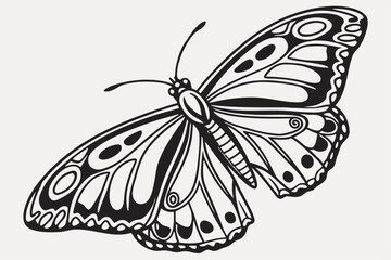 Elegant black butterfly illustration with vibrant color accents