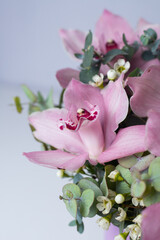 Pink orchids with eucalyptus. Bouquet of pink flowers with floristic greenery. Professional floral...