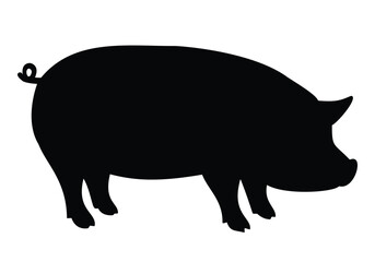 Black pig silhouette, ideal for farm, agriculture, animal, or food-related designs, representing livestock and rural life.