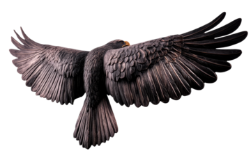 Isolated eagle figure with open wings, sculpture detail, cut out transparent