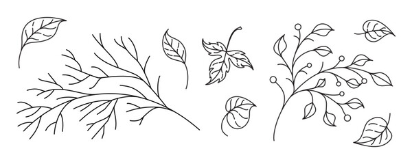 Botanical vector elements pack. Whimsical leaves, twigs and berries for natural autumnal compositions.