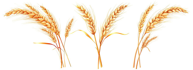 Three golden wheat heads against a black background