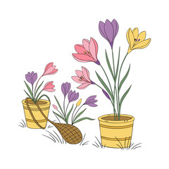 Flower collection