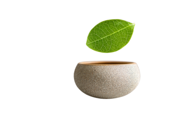 Floating green leaf above natural stone bowl minimalist design indoor contemporary serenity concept