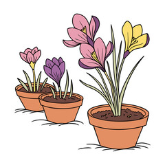 flower in tob vector