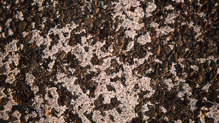 abstract background, textures, asphalt, wood, stone