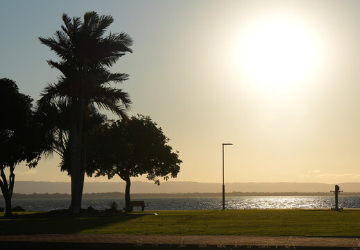 Silhouetted trees and streetlight by the Moreton Bay foreshore during golden hour with the sun glowing over calm water - Powered by Adobe