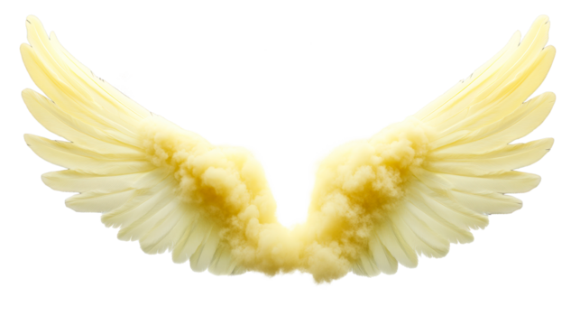 Feathery yellow wings, angelic abstract form, cut out transparent