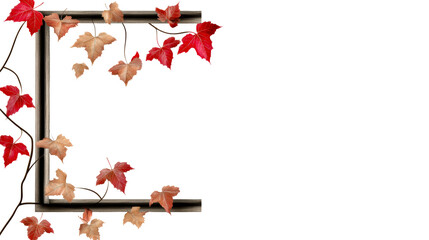 Autumnal leaves frame with climbing vine, cut out transparent