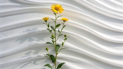 Elegant Yellow Flowers on Soft White Draped Fabric: Minimalist Botanical Photography