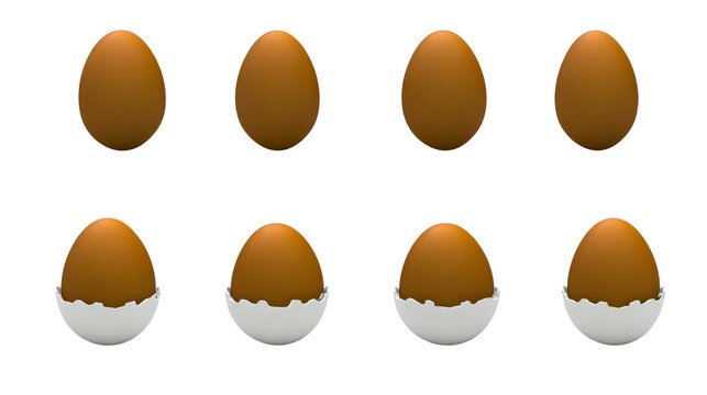 Brown egg set, in holder and stand alone, cut out transparent