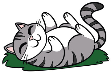 Cute chubby cat relaxing on its back in a playful pose